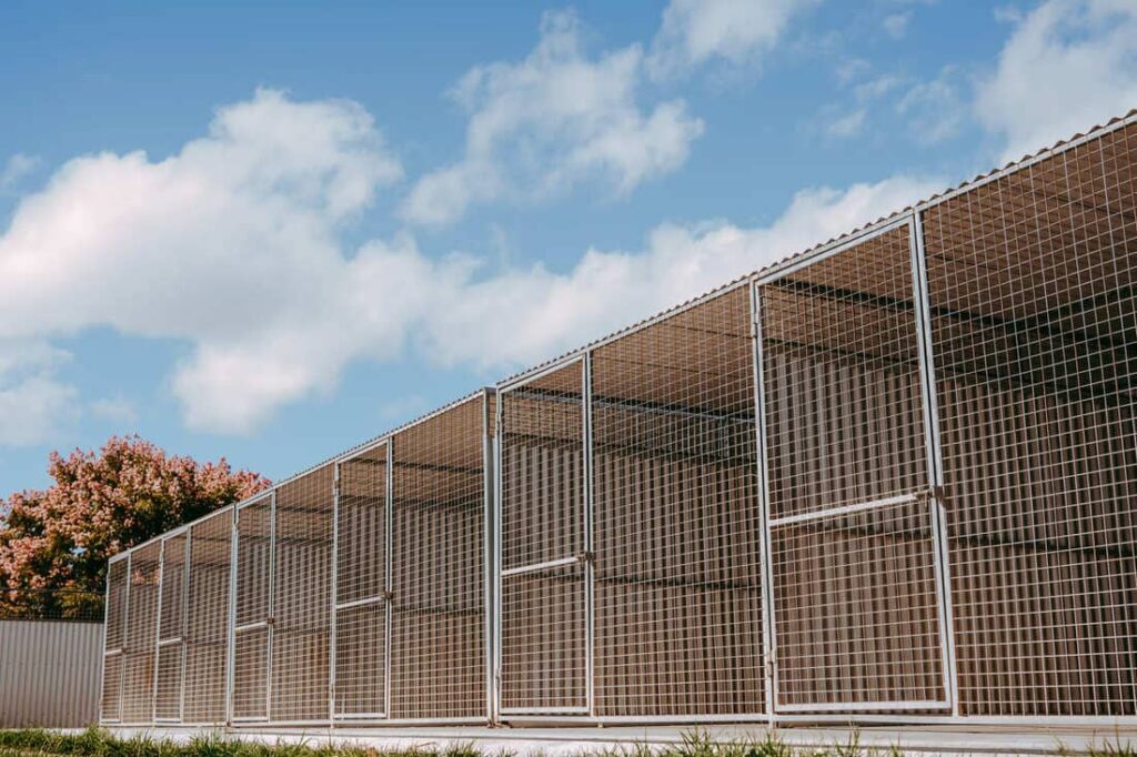 The Mitchell family’s commitment to compassionate animal care at Gunnedah Boarding Kennel